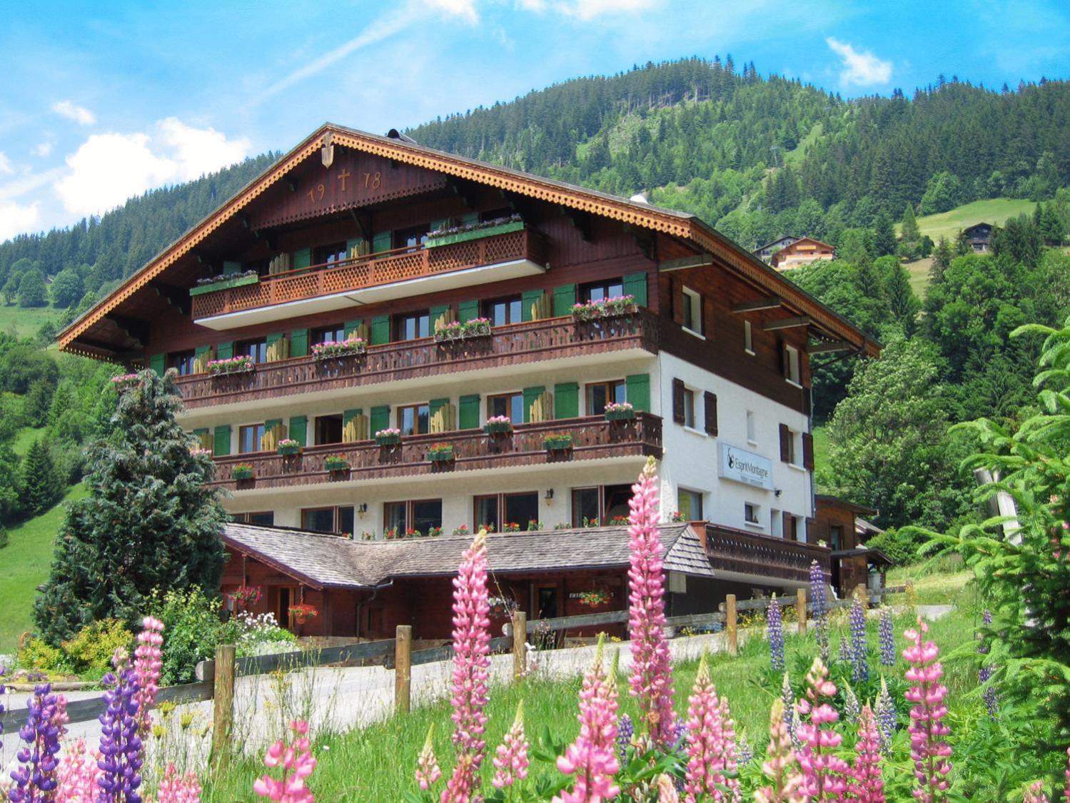 Отель Esprit Montagne Ла-Шапель-д'Абонданс Экстерьер фото